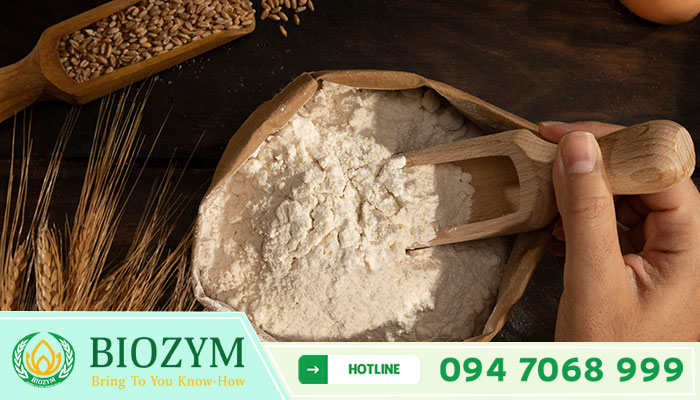 TINH BỘT MÌ – WHEAT STARCH