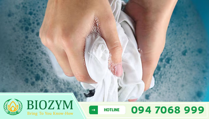 Alkaline alpha amylase AAL