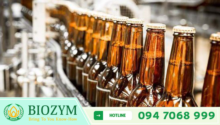 Glucoamylase GA 2.0T