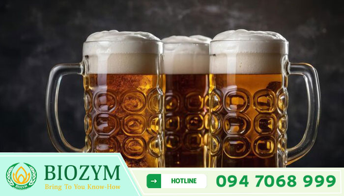 Pullulanase PU-700 – ENZYME DỊCH HÓA