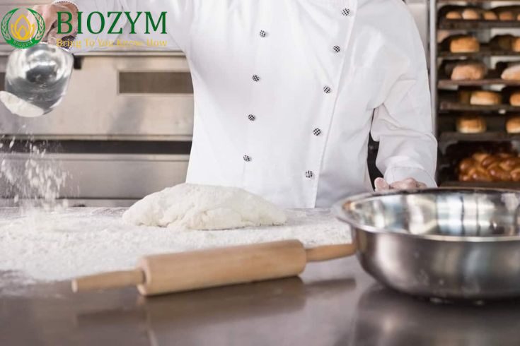 Giải Pháp Cho Phụ Gia Làm Bánh Bông Lan Mềm Xốp - phu gia bot no