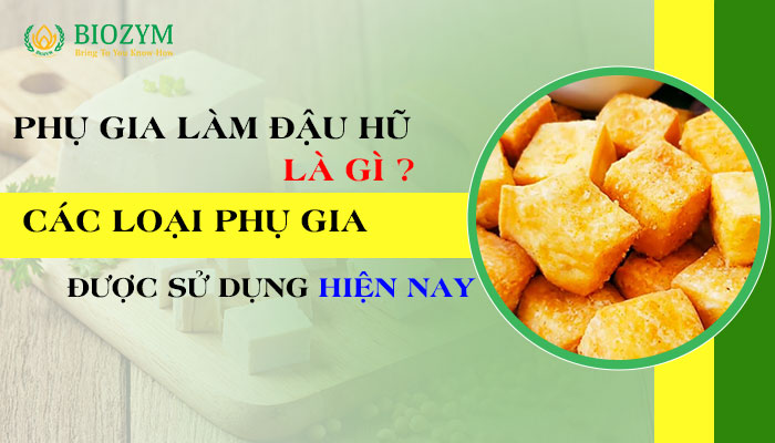 Phụ gia làm đậu hũ