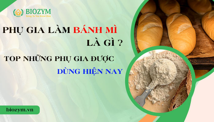 Phụ gia làm bánh mì là gì