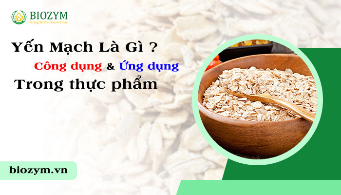 Nguyên liệu yến mạch