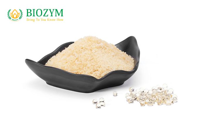 Nguồn gốc của gelatin