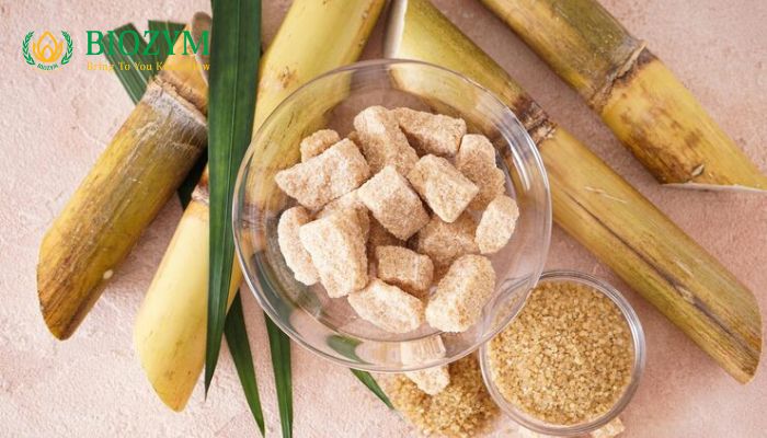 Enzyme trong ngành mía đường là gì 