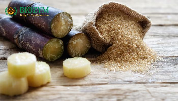 Quy trình khi sử dụng enzyme trong mía đường 