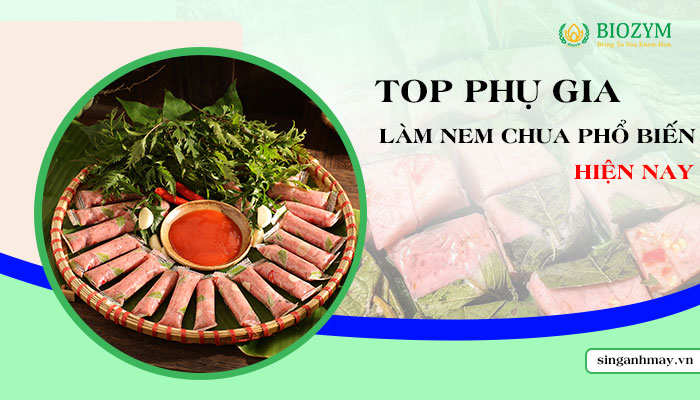 Top phụ gia làm nem chua