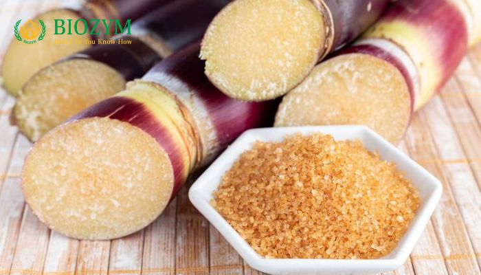 Ứng dụng của enzyme trong mía đường