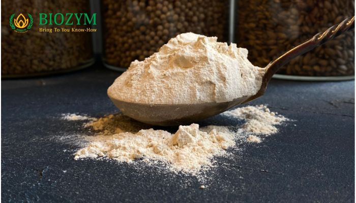 Wheat Gluten Là Gì? Công Dụng Và Ứng Dụng Trong Thực Phẩm Thành phần của gluten