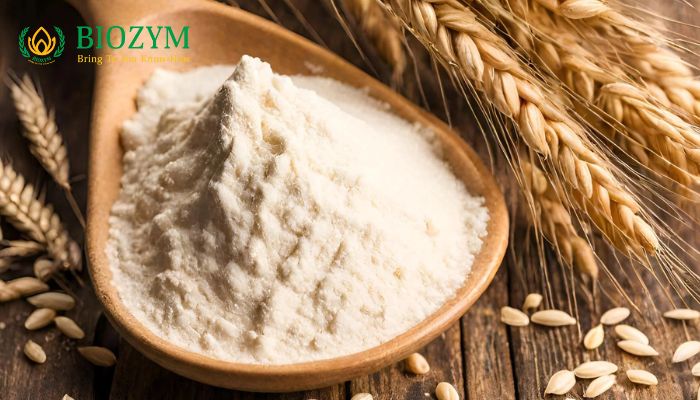 Wheat Gluten Là Gì? Công Dụng Và Ứng Dụng Trong Thực Phẩm - phan loai gluten