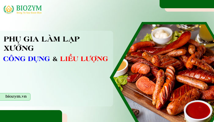Phụ gia làm lạp xưởng là gì