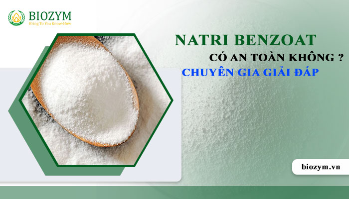 Natri Benzoat Có An Toàn Không