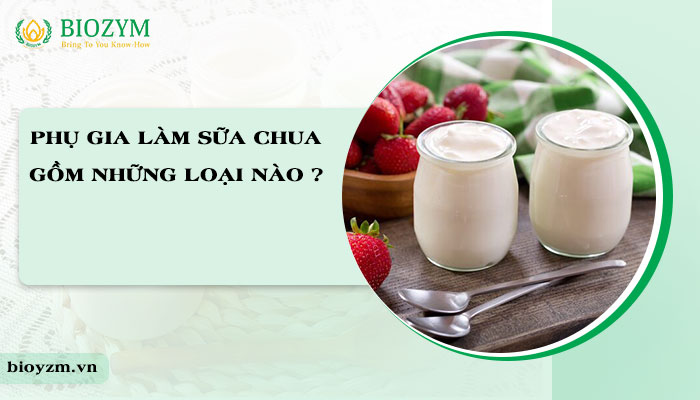 Phụ Gia Làm Sữa Chua